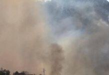 Incendi nel cosentino- “Ronde cittadine per evitare nuovi roghi”