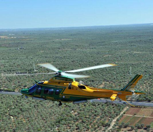 Candidoni- scoperta piantagione marijuana