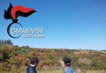 Sequestrati beni a pregiudicato ritenuto appartenente alla cosca “Alvaro-Violi-Macri” di Sinopoli