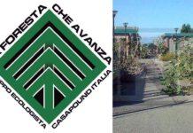 Canile di Mortara- LA FORESTA CHE AVANZA:”Dopo i confronti adesso chiediamo i fatti”