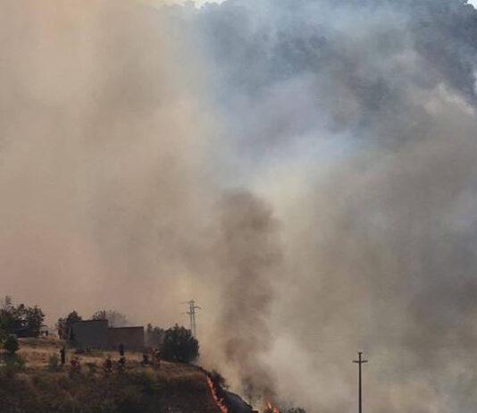 Calabria, strategia criminale su incendi