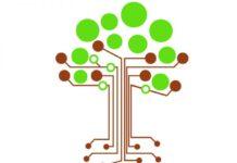 Da AlforLab un prototipo per la tracciabilità del legno made in Calabria