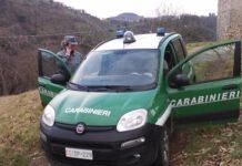 Sorpreso mentre appicca fuoco tra vegetazione- arrestato