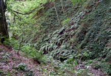 Meeting internazionale: Il Parco Nazionale dell’Aspromonte tra Bio e Geo-diversità