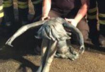 Statua in bronzo “emerge” dal lago Angitola