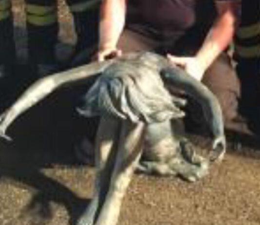 Statua in bronzo “emerge” dal lago Angitola