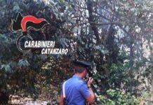 Appicca rogo in parco, fermata 34enne con disturbi psichici