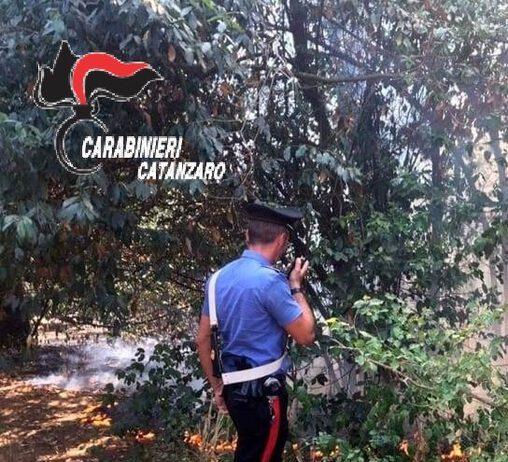 Appicca rogo in parco, fermata 34enne con disturbi psichici