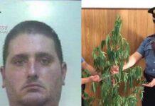 Palmi, un arresto per detenzione stupefacenti ai fini di spaccio