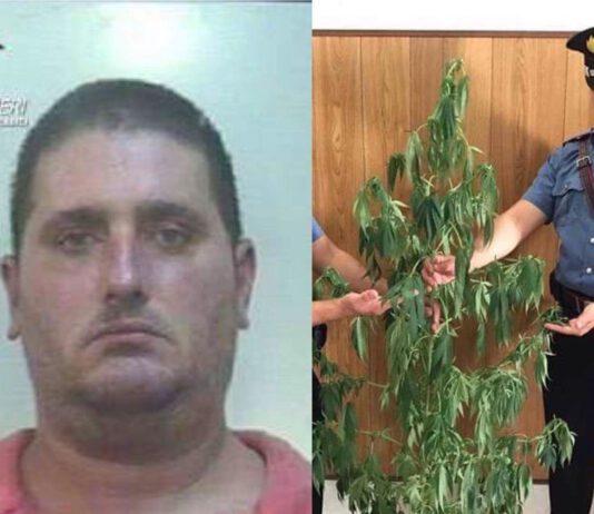 Palmi, un arresto per detenzione stupefacenti ai fini di spaccio