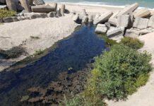 Comitato 7 agosto: ” Il comune non risponde agli attivisti del comitato sul canalone”