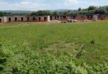 Melicucco- furto al cimitero