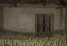 Nicotera, scoperto mentre irrigava piantagione di marijuana. Arrestato 35enne