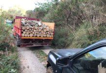 Taglio abusivo di alberi- tre denunce