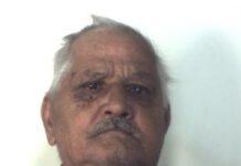 Arrestato pensionato per detenzione di armi