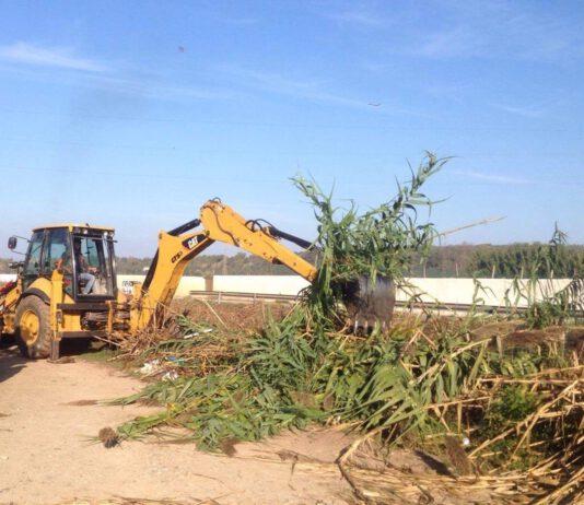 PD Gioia Tauro: plauso intervento pulizia Fiume Budello