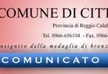 Cittanova, demolizione garage abusivo su spazio verde