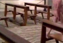 Uomo si denuda in chiesa, esce e colpisce auto parcheggiate