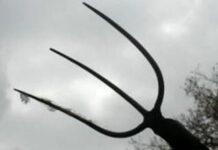 Aggredisce fratello con un forcone- arrestato pensionato