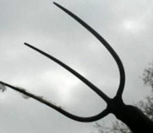 Aggredisce fratello con un forcone- arrestato pensionato