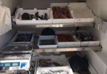 Sequestrato in Calabria un quintale di prodotti alimentari