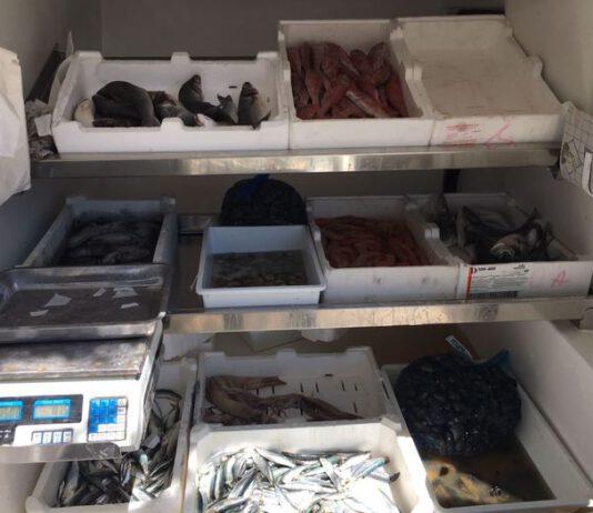 Sequestrato in Calabria un quintale di prodotti alimentari