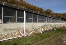 Canile di Mendicino- conclusioni indagini