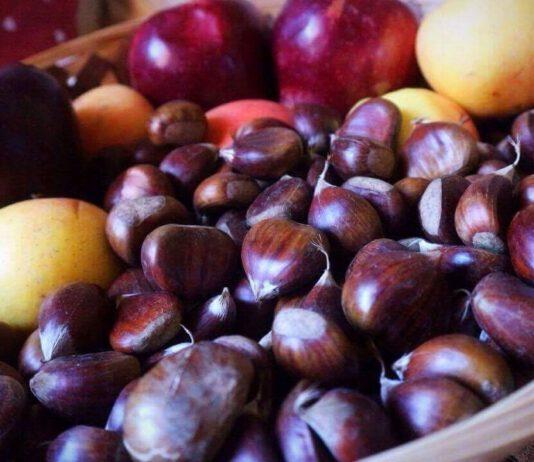 Zmedica- 5 cose da sapere sulle castagne
