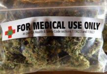 Enza Bruno Bossio: Si a cannabis terapeutica primo passo verso legalizzazione