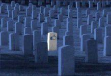 La vita ai tempi dei Social Network: ci stiamo spegnendo lentamente a colpi di Mi Piace.