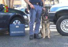 Focus ‘ndrangheta, Un arresto delle volanti