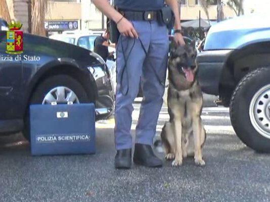 Focus ‘ndrangheta, Un arresto delle volanti