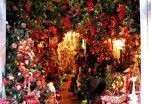 Vibo Valentia, L’amministrazione comunale premia la vetrina più bella per il Natale 2017