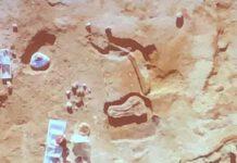 Resti di elefante in lago Cecita, Oliverio: Risultati importantissimi, emerge ricchezza del nostro territorio