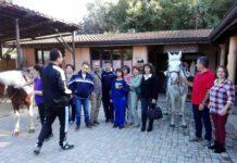 Riabilitazione equestre nel CSM di Montepaone Lido