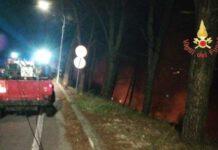 Notte di fuoco- incendiata auto e pineta