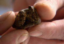 Calabria, bimbo 11 mesi ingoia hashish, ricoverato in terapia intensiva