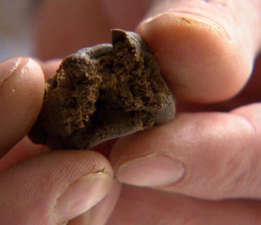 Calabria, bimbo 11 mesi ingoia hashish, ricoverato in terapia intensiva