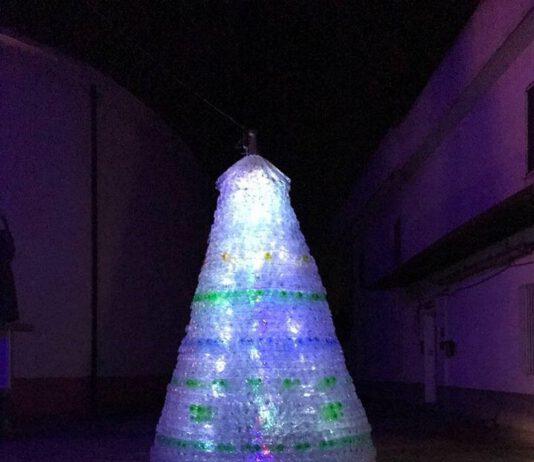 A Rosarno concorso “l’albero più bello”