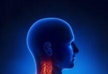 Tumori testa– collo: sesso, fumo e alcol aumentano rischio