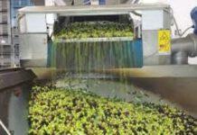 Rizziconi, smaltimento rifiuti illecito, sequestrato opificio