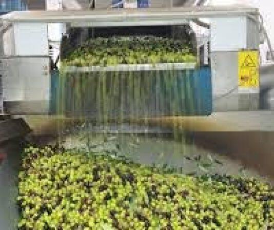 Rizziconi, smaltimento rifiuti illecito, sequestrato opificio