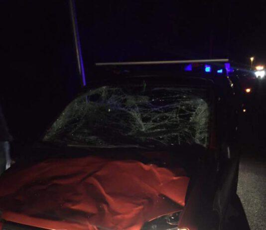 Ancora un incidente causato da “vacche sacre”