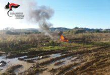 Sorpresi a bruciare rifiuti, tre denunce