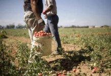 Lotta al caporalato nella Piana, operazione interforze