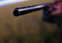 Spari contro auto, illeso conducente