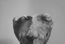 Dai depositi del Metropolitan Museum of Art riemerge un altro reperto proveniente da Métauros”