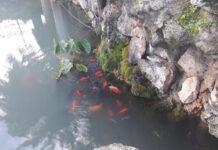 Polistena: vile sabotaggio al laghetto di Santa Maria