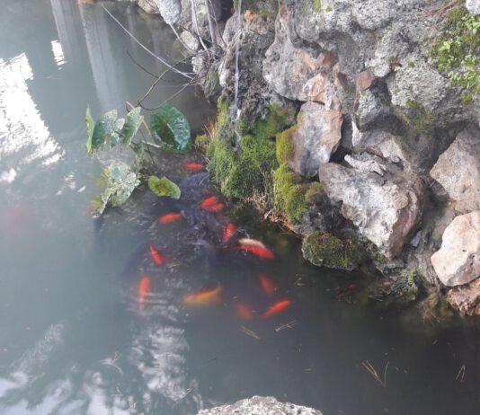 Polistena: vile sabotaggio al laghetto di Santa Maria