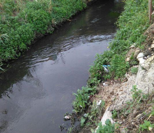 San Ferdinando, chiare, fresche e dolci acque! Denuncia sulle condizioni del fiume Mesima